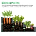 thumbnail image 5 of Raised Garden Beds Outdoor PlanterWith Separator 3 Growth Areas FirElevated FlowerVegetables Growing Planter, 5 of 6