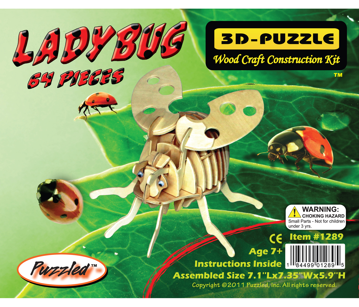Kit Costruzioni Legno Parasaurolophus Quay | Modellino Dinosauro FSC 27x44x12 Cm | Gioco Educativo Per Bambini 5+