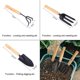 thumbnail image 2 of Juego de 3 herramientas de jardinería, herramientas para bonsái, miniherramientas de jardinería para macetas, plantas y plántulas, 2 of 5