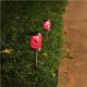 thumbnail image 5 of Wosthever Lámpara solar LED a prueba de agua Enchufe de tierra Luz Jardín Paisaje Lámpara de césped Lámpara de enchufe de tierra decorativa para Iluminación y accesorios No.2 Wosthever HA027698-02, 5 of 6