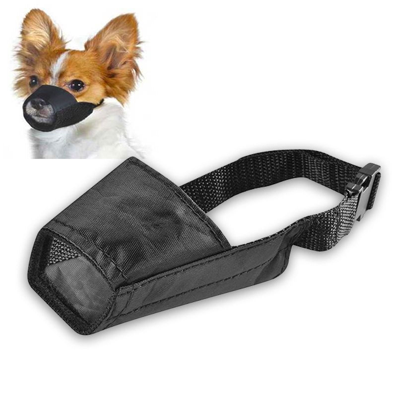 cooling fan aquascape