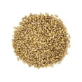 thumbnail image 3 of Organic Hulled Barley, 1 Pound – Non-GMO, Kosher, Raw, Bulk Grain, Product of the USA – by Food to Live, 3 of 8