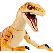 Jurassic World Amber Collection Tiger Velociraptor 6 inch Action Figure