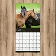 thumbnail image 5 of 2020 Horses Wall Calendar, 5 of 6