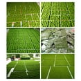 Simulated Moss Foam Board Flocking Fake Moss Stone Plant Background