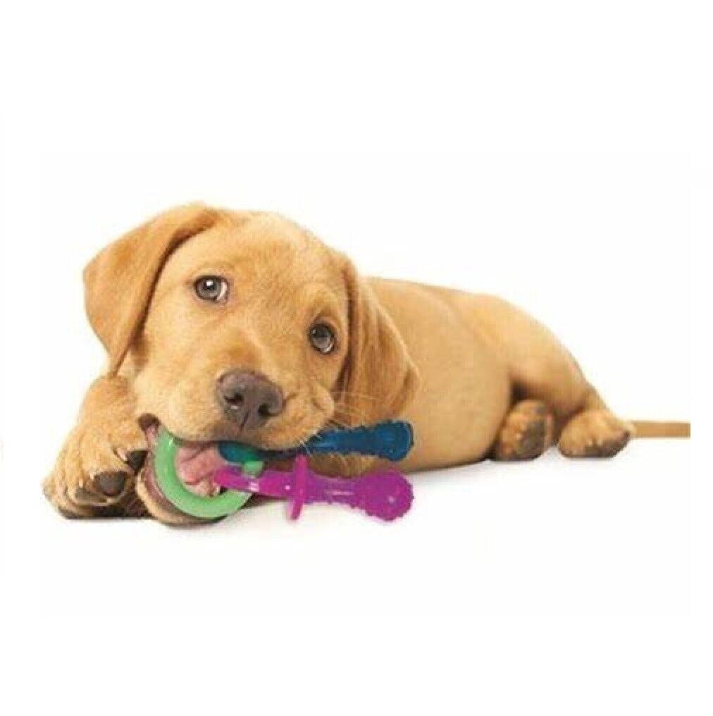 Puppy Teething Keys, Rings or Pacifiers Durable Dog Dental Health Chew Toys (5.5" Teething Pacifiers)