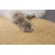 thumbnail image 3 of Rascador para Gatos, Felpudo de sisal, Alfombra para rascar  Esterilla de sisal Natural Resistente  Alfombra de 100% sisal  Alfombrilla rascador Natural para Gatos 40 x 60 cm, 3 of 7