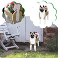 thumbnail image 1 of XWSHYW Decoraciones para El Hogar Maceta con Forma de Perro para Jardín, Maceta para Plantas Suculentas, Bonito Diseño de Perro, Contenedor de Almacenamiento para Plantas de Exterior, Maceta para Per, 1 of 6