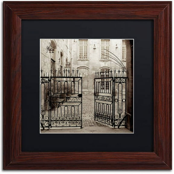 Trademark Fine Art "Avignon II" Canvas Art by Alan Blaustein, Black Matte, Wood Frame