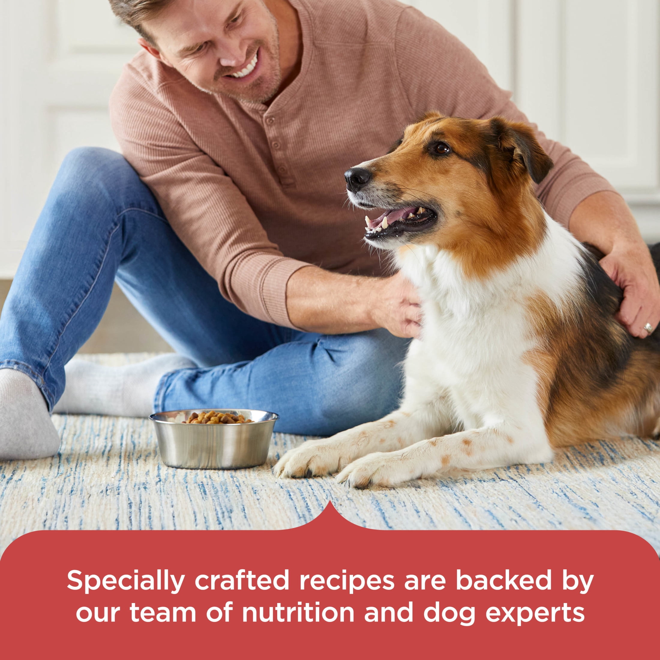 Rachael Ray Nutrish Dry Dog Food Real Salmon, Veggies & Brown Rice Recipe, 28lb.
