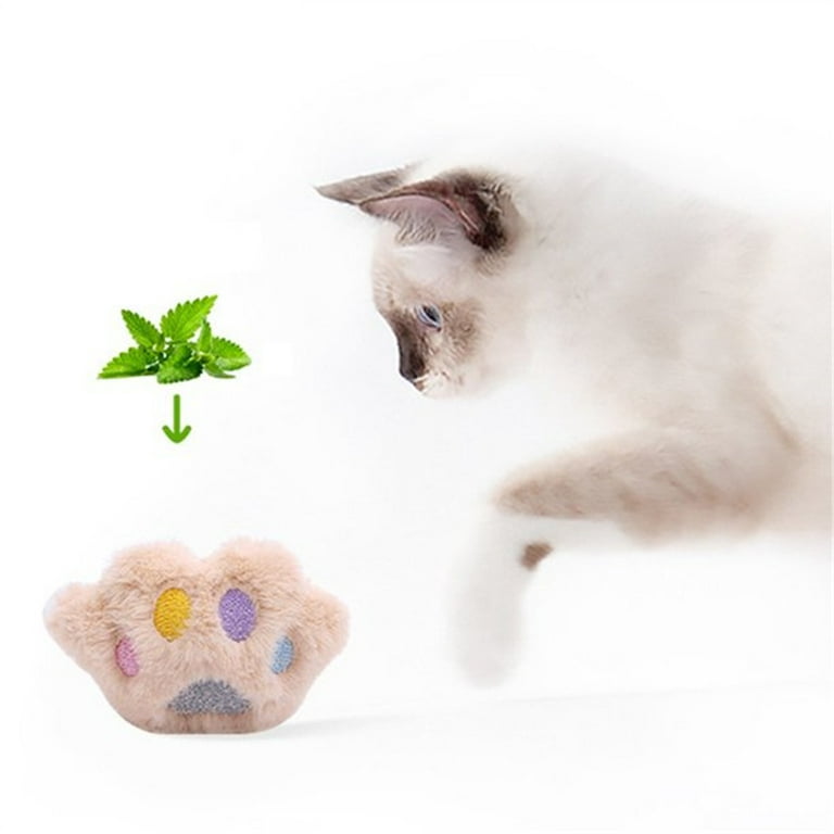 Cheap cat cheap supplies