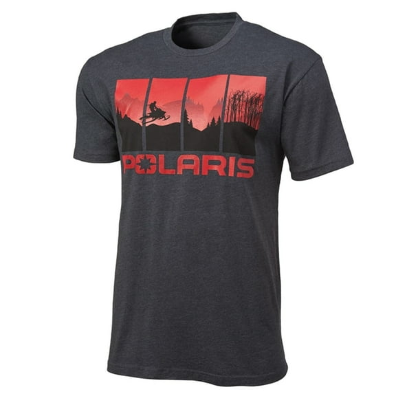 Polaris Men's 4-Scene Graphic T-Shirt, Gray/Red | 2861576