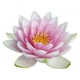 thumbnail image 2 of Lotus Flower Wall Mural Decal Sticker, Wallmonkeys Peel & Stick Vinyl Graphic (18 in W x 14 in H, 2 of 4