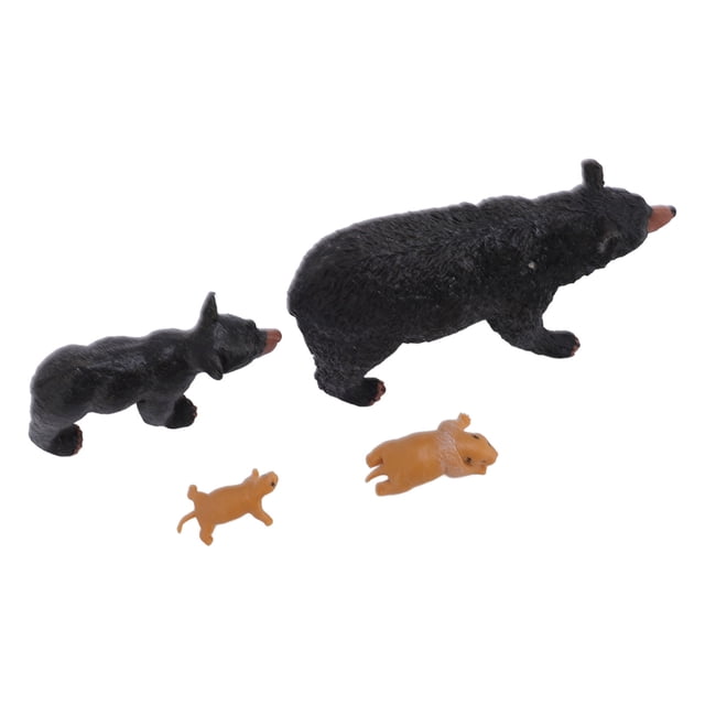Estatua del Oso, Ciclo de Vida delito Figura decorativa de PVC para la enseñanza