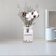 thumbnail image 4 of 1 juego de flores secas, jarrón de cristal decorativo para jardín de primavera transparente Flor de cinta blanca, 4 of 8