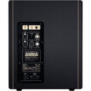 Positive Grid Spark CAB Powered FRFR Speaker Cab - Black