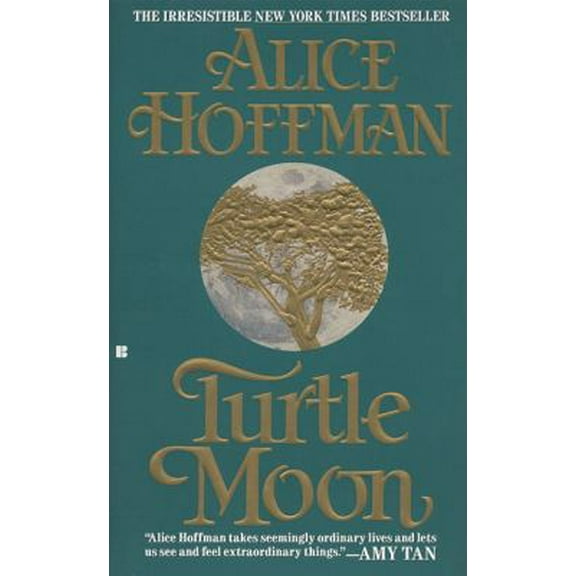 Pre-Owned Turtle Moon (Paperback) 9780425136997