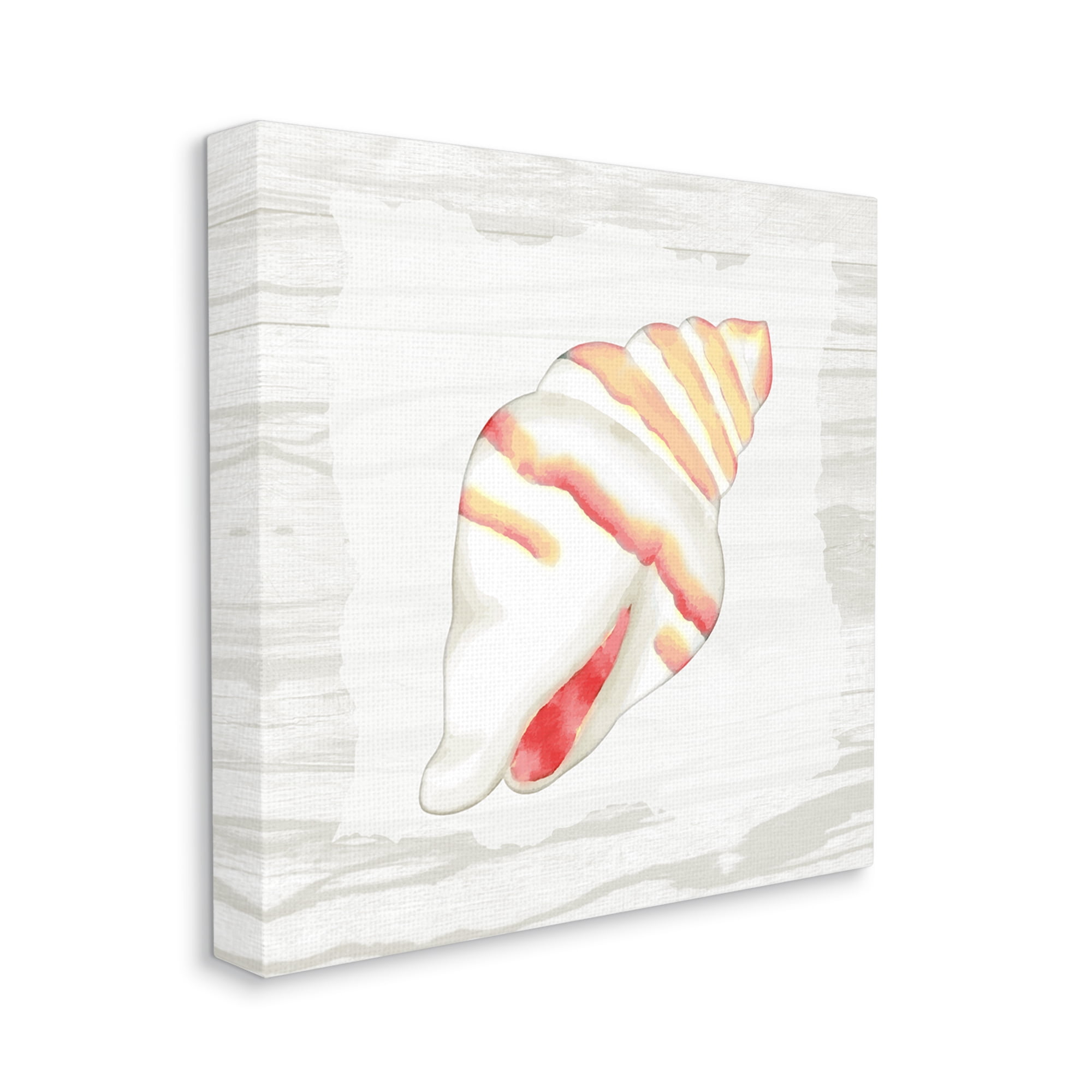 Stupell Industries Conch Shell Patterned Animals & Insects Painting Gallery Wrapped Canvas Print Wall Art, 24 x 24