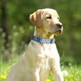 thumbnail image 6 of Rychif Cute Dog Collar, Purple Flower Pattern, Soft Nylon Pet Collars for Small Medium Large Dogs, XL, 6 of 6