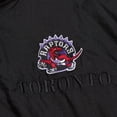 thumbnail image 4 of Unisex Mitchell & Ness  Black Toronto Raptors Hardwood Classics Team OG 3.0 Anorak Half-Zip Windbreaker Jacket, 4 of 6