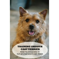 Training Smooth Coat Terrier: Things You Should Know To Play With Your Smooth Coat Terrier: Steps In Training Your Smooth Coat Terrier (Paperback)