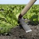 thumbnail image 5 of Azada portátil para desherbar acero de manganeso - Herramienta de jardinería multipropósito para plantar verduras y flores, martillar y quitar clavos, 5 of 5