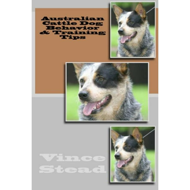Australian Cattle Dog Behavior & Training Tips (Paperback) Walmart