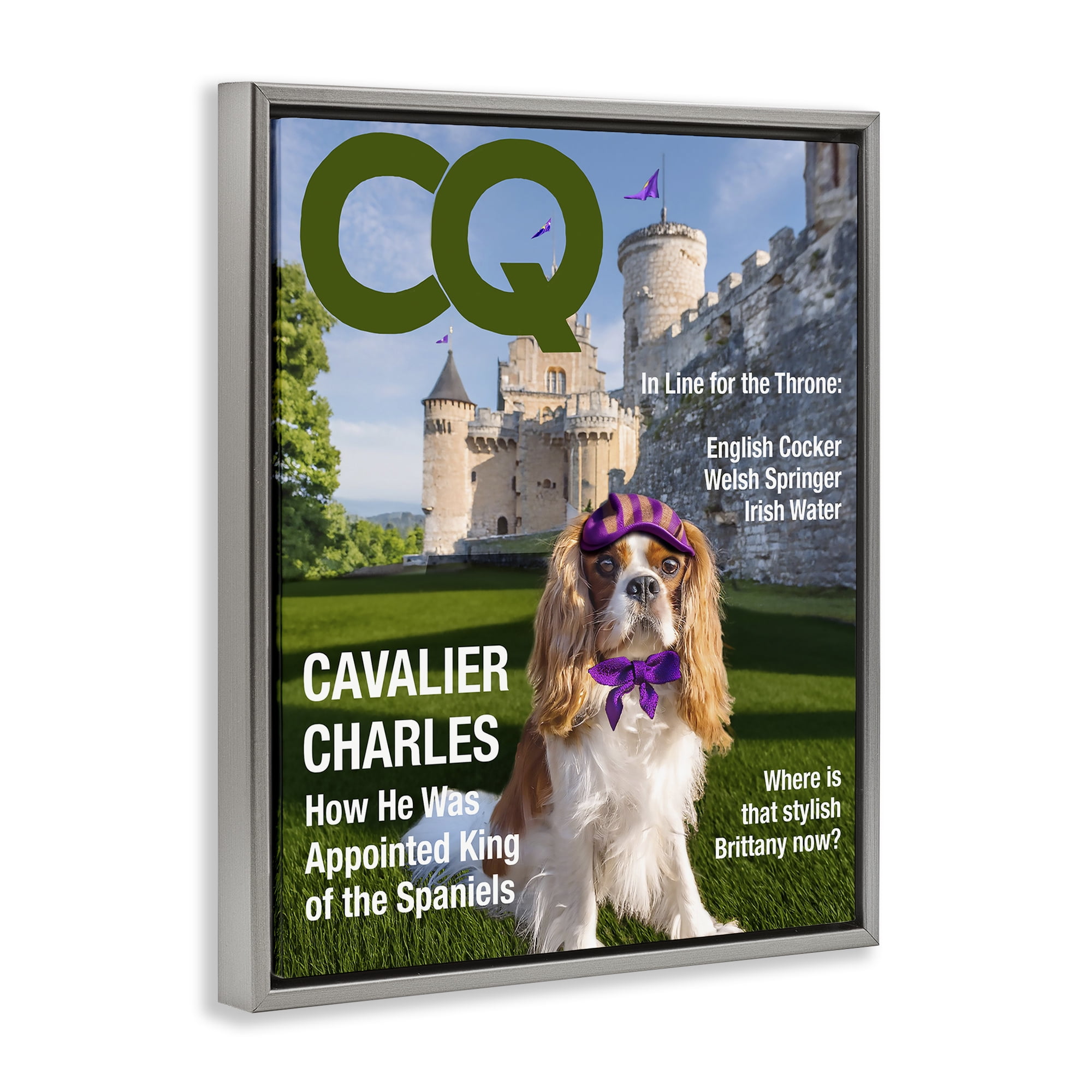 Stupell Industries Royal Cavalier Magazine Gray Framed Floater Canvas Wall Art, design by Grotto Studios