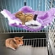 thumbnail image 4 of Hamaca para mascotas, ardilla y hámster púrpura, cama colgante para mascotas, hamaca para hámster, máxima comodidad, 4 of 8