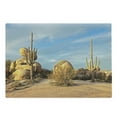 thumbnail image 1 of Cactus Cutting Board, Desert Scenery Saguaros and Boulders Catching the Day's Last Sunbeams, Decorative Tempered Glass Cutting and Serving Board, Large Size, Pale Blue Pale Brown, by Ambesonne, 1 of 1