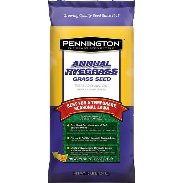 RYEGRASS SEED ANNUAL 10LB