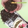 thumbnail image 2 of Christmas Cactus Potting Soil Mix 1qt Ideal for Succulents Cacti and Other Indoor Potted Plantings, 2 of 4