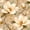 Color 5, variant on Peel and Stick Wallpaper Colorful Fish Retro Style Pastel Tones Wall Mural 17.7in x 9.8ft Self Adhesive Removable Wall Paper Renter Friendly Wallpaper for Bedroom