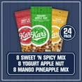 Kar’s Nuts Trail Mix Variety Pack, Pack of 24 Yogurt Apple Nut, Mango