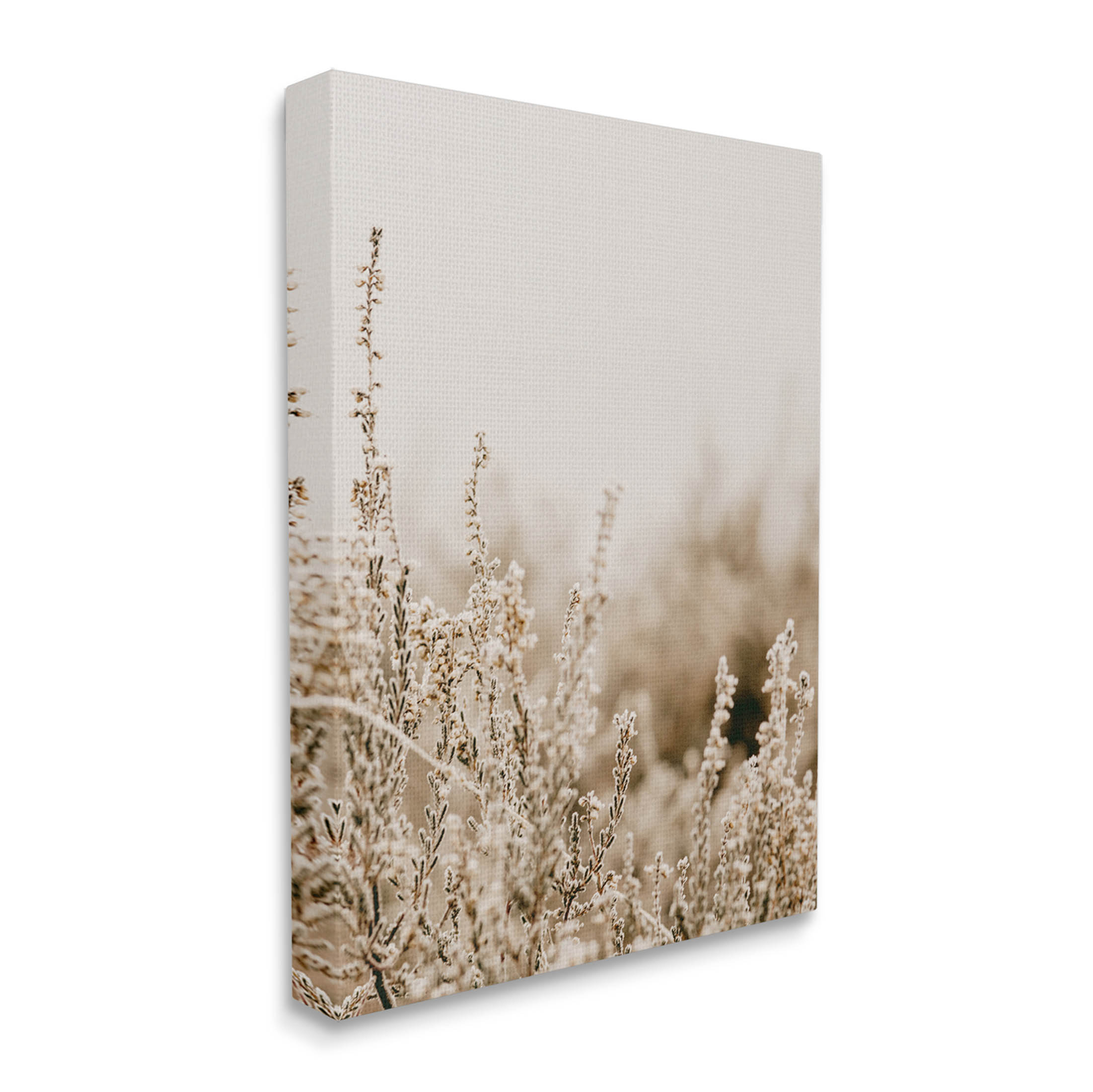 Stupell Industries Tranquil Wildflower Meadow Blooms Photograph Gallery Wrapped Canvas Print Wall Art, Design by Leah Straatsma