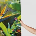thumbnail image 3 of Orinice  Plant Shower Curtain, Close-up Image of Strelitzia Reginae Bird of Paradise Flower Madeira Island Portugal, Fabric Bathroom Decor Set with Hooks,  36x72, 3 of 7