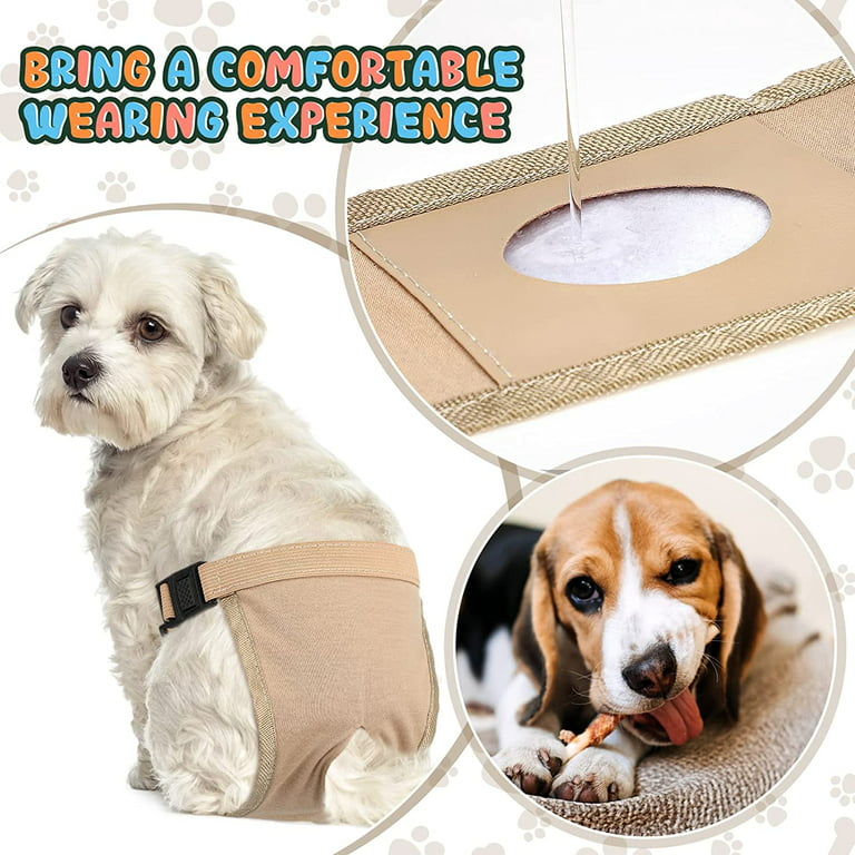  Pet Physiological Pants The Dog Safety Pants Cotton : Pet  Supplies