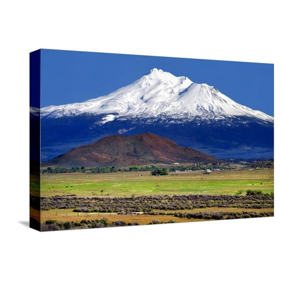 Art.com Shasta County Spring Stretched Canvas Print Wall Art by Douglas Taylor, 18" x 12"