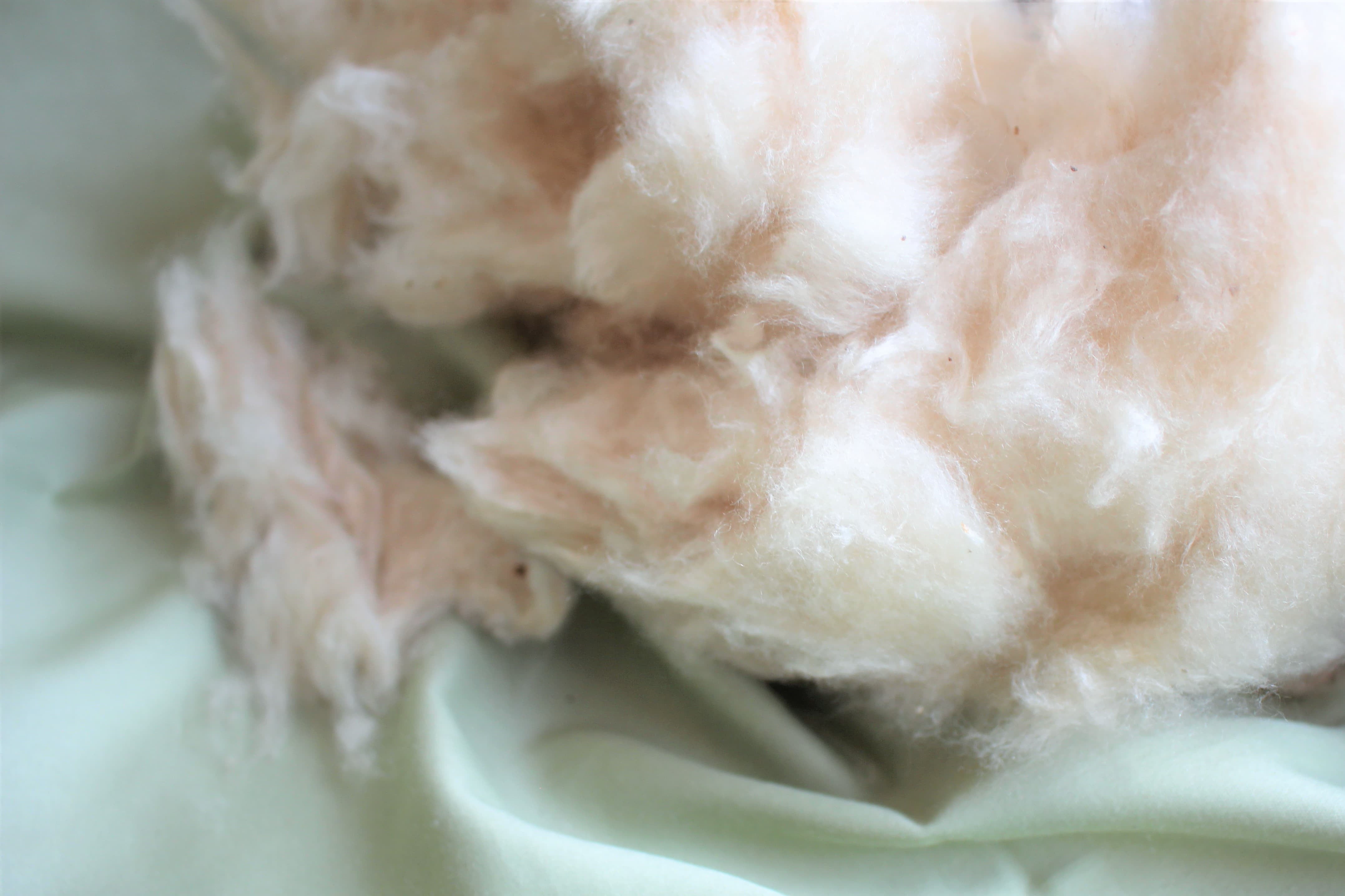 Wholesale Natural Kapok Fill for Pillows, Crafts, Cushions (10 lb)