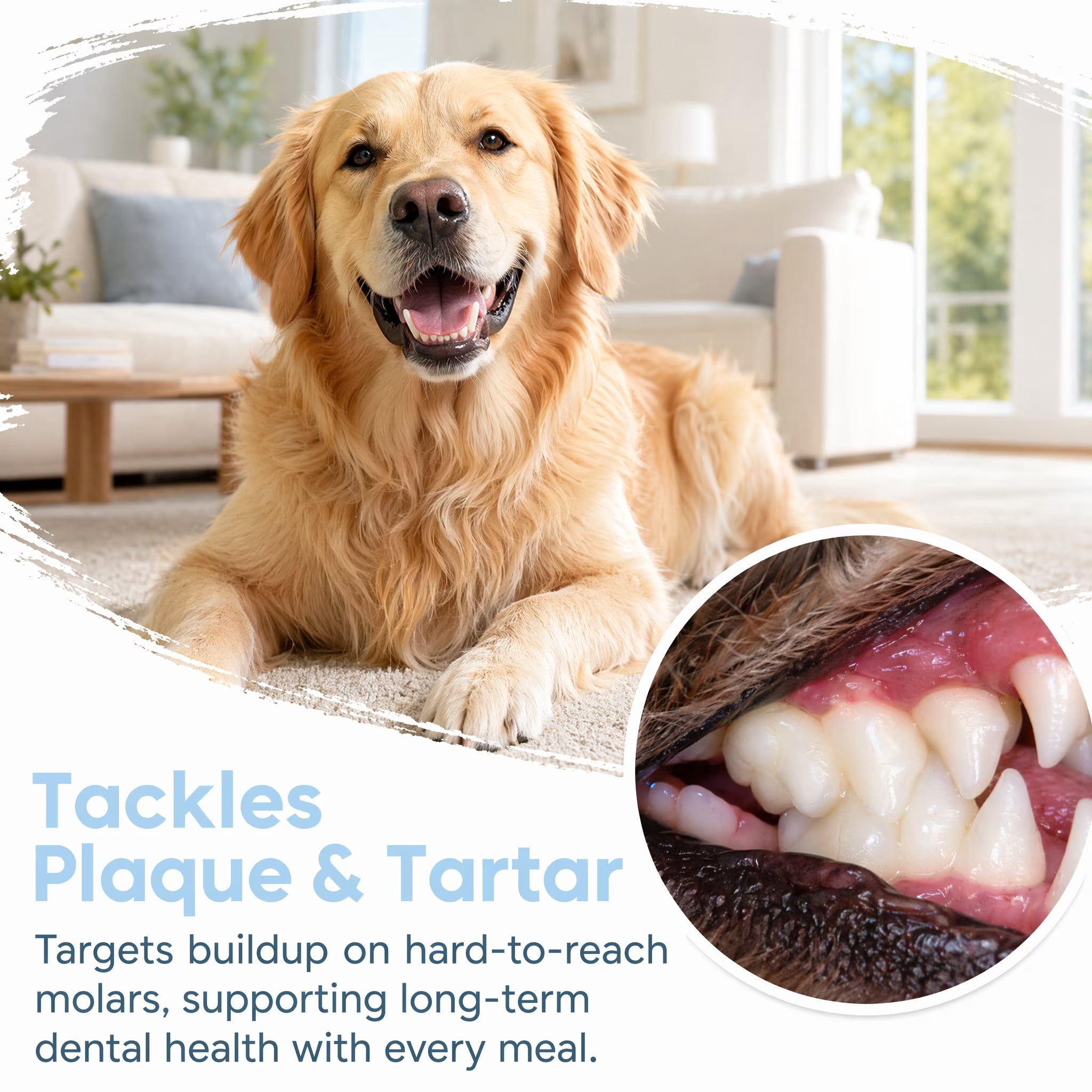 Dog Dental Powder, Teeth Cleaning & Tartar Removal Supplement, Fresh Breath Oral Care for Dogs, Gum Health Support, Easy Mix Food Additive for Small Medium Large Dogs (2PC)