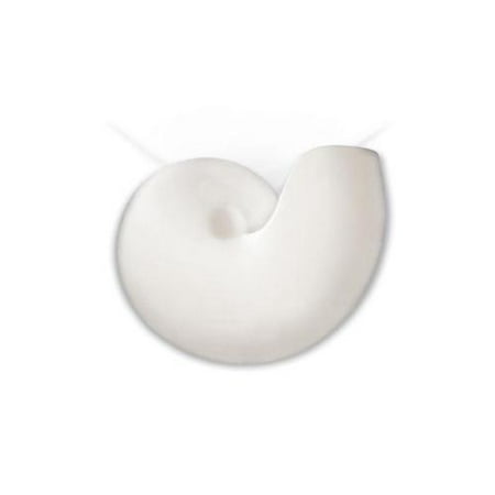 Islands of Light Nautilus Ceramic Wall Sconce (Spanish Olive) - Walmart.com
