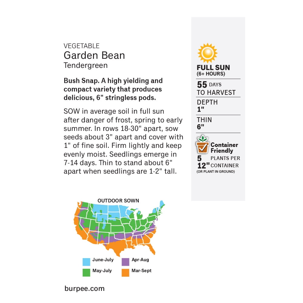 Burpee Organic Tendergreen Heirloom Garden Bean Seed, 1-Pack
