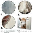 thumbnail image 3 of Designart "Alpaca Portrait Beige II" Animals Floater Framed Wall Art Print, 3 of 7