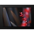 thumbnail image 2 of Crane, Rita 14x11 Black Modern Framed Museum Art Print Titled - Red Grey Interplay II, 2 of 5