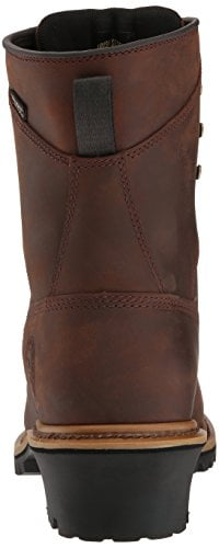 irish setter 83834