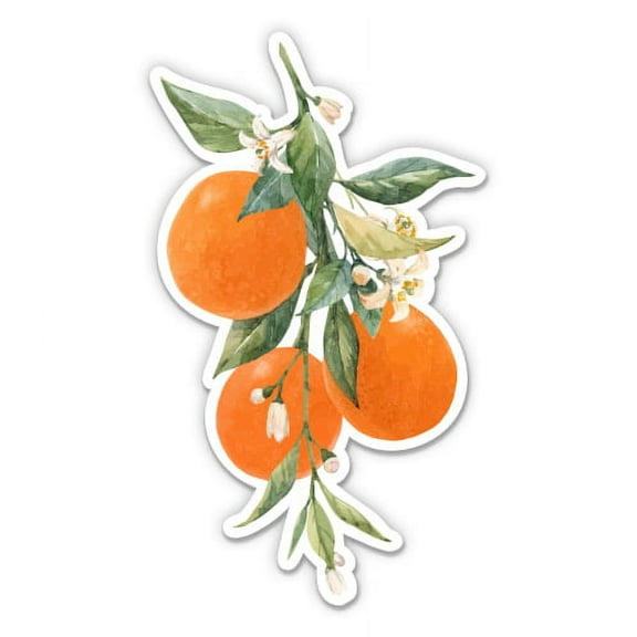 Orange Branch Citrus - 3" Vinyl Sticker - For Car Laptop I-Pad Phone Helmet Hard Hat - Waterproof Decal