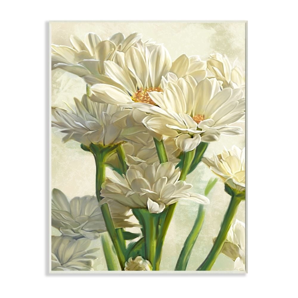 Stupell Industries Study of White Daisy Petals Spring Florals Designed by Ziwei Li