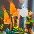 thumbnail image 1 of unbranded 1Jgo Doble Para Acuario Betta Material Plástico Resistente Y Única, 1 of 8