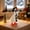 White333, variant on Tuvgenk 7In Magnetic Silly Goose Figurine Single Set, with Corresponding Holiday Costume, Christmas Porch White Goose Ornament Tabletop Decor Key Holder Gift (White)