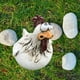 thumbnail image 5 of Estatua de gallina de resina divertida para jardín al aire libre, decoración de gallinas pequeñas B, 5 of 8